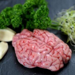 Fresh Goat Brain (per pc)